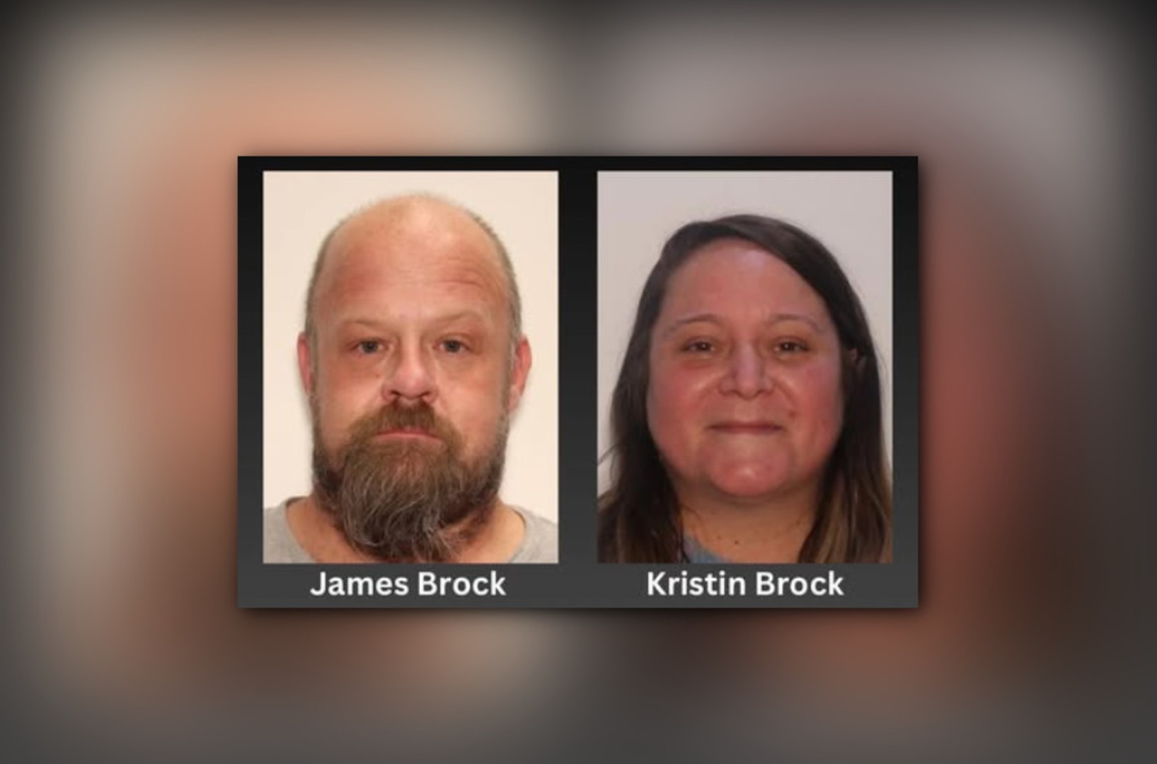 via Carroll County Sheriff's Office