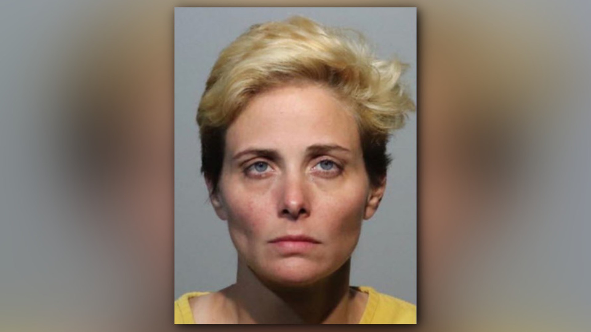 Laurie Adams (via 18th Judicial Circuit)