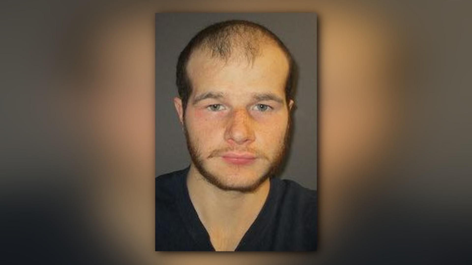Allan Bieber (via Albion Police Department)