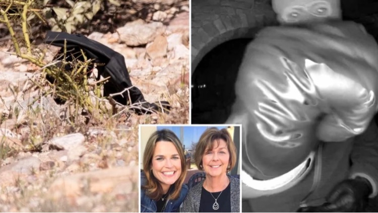 Left: Black glove found by roadside, Center inset: Nancy and Savannah Guthrie, Right: Glove worn by suspect in surveillance video (via nypost.com)
