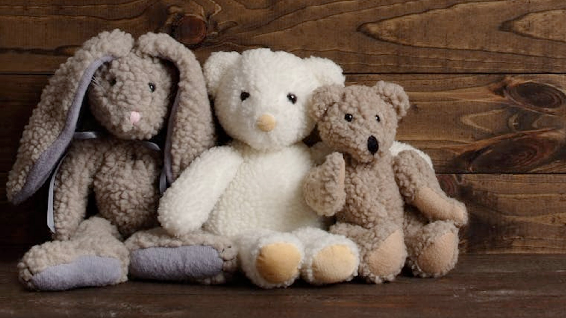 <a href="Photo by Laurie Ludes: https://www.pexels.com/photo/stuffed-animal-toys-on-wooden-surface-6017193/" target="_new">Pexels</a>