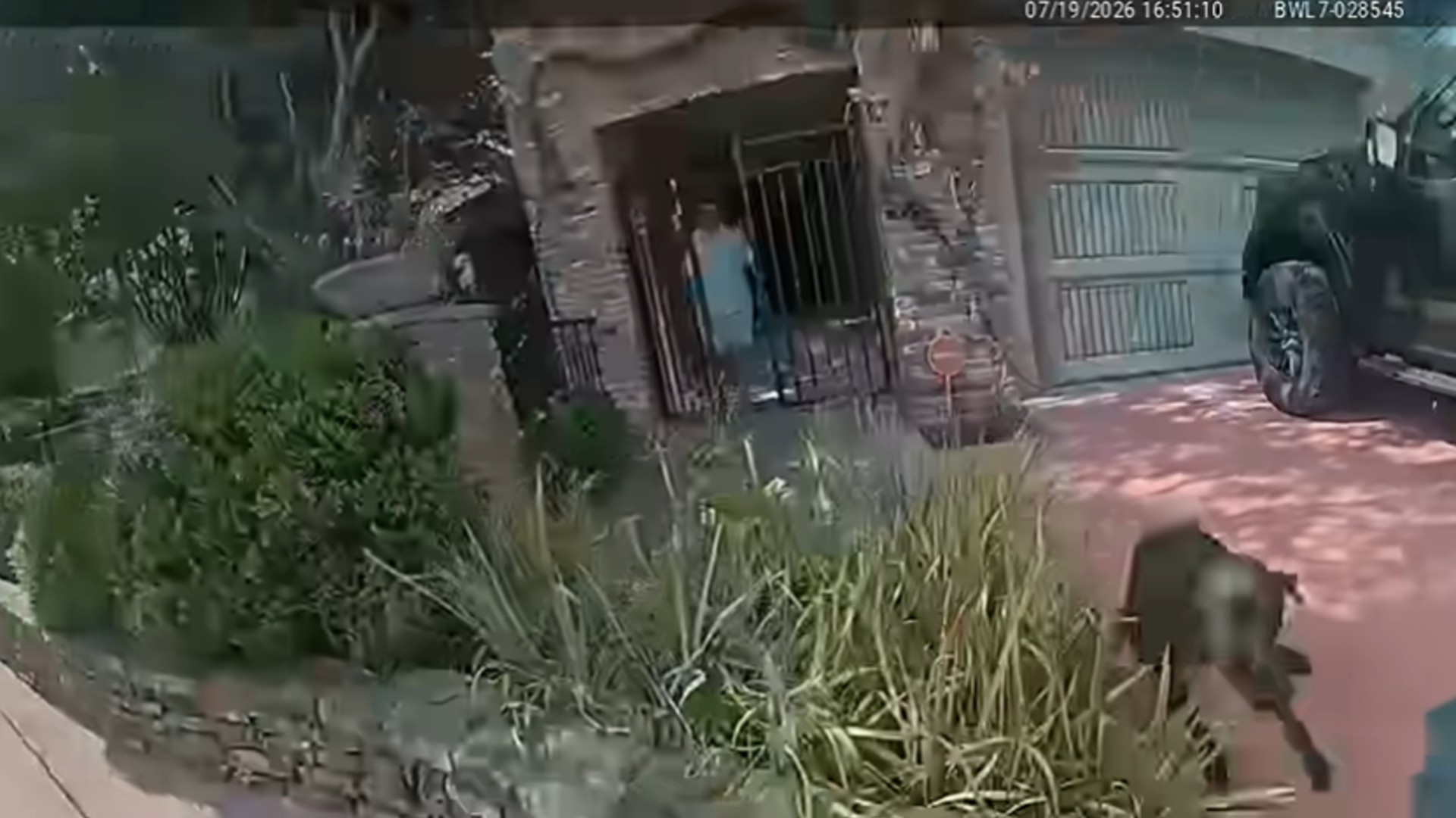 Bodycam footage released by LRPD.