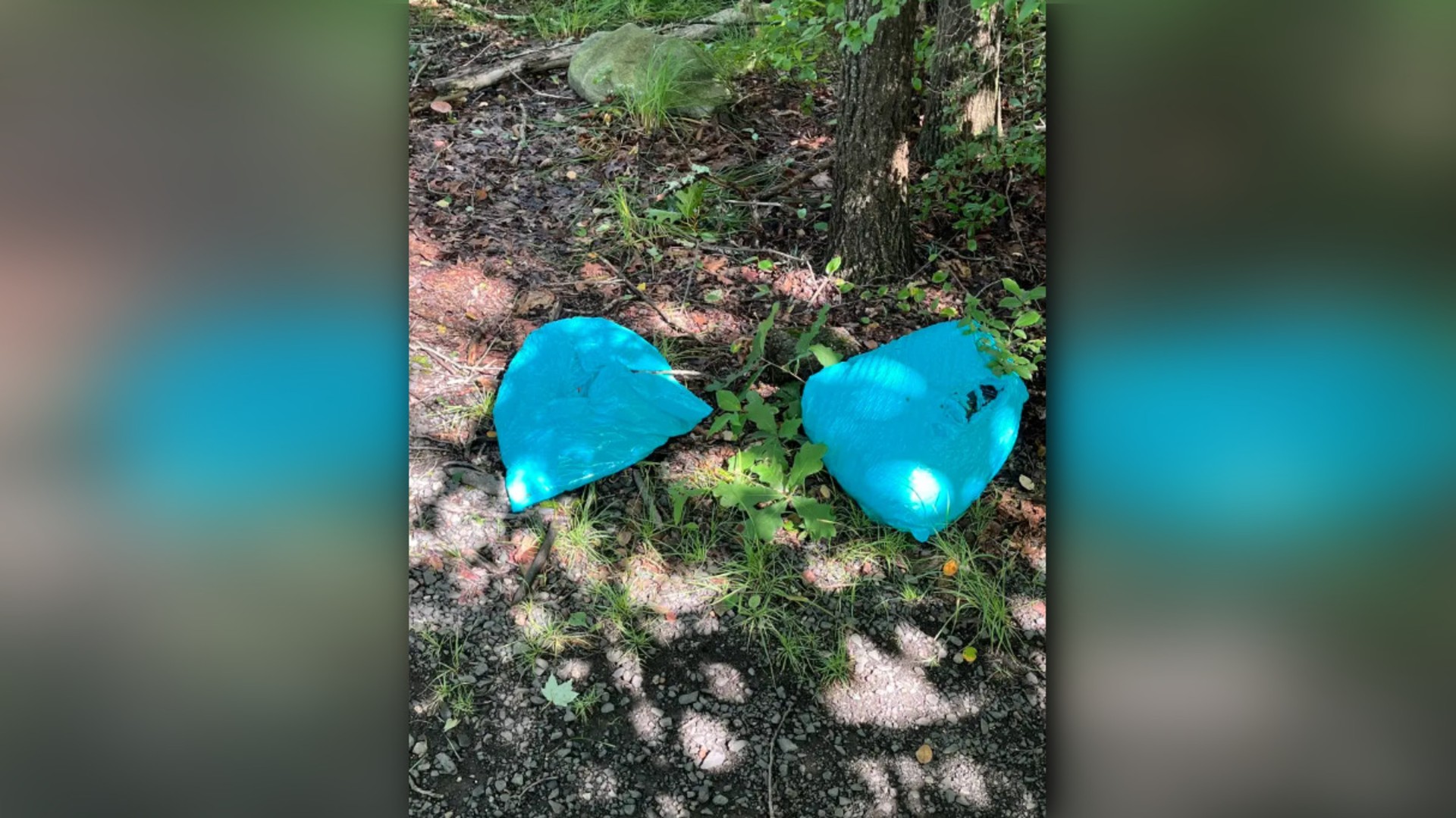 Photo courtesy Wolcott Police Department